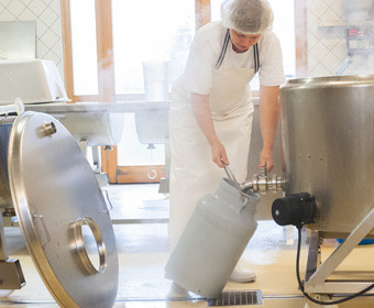 Herstellung von Mozzarella aus Bueffelmilch