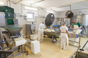 Mozzarella Herstellung – Foto Eberhard J. Schorr