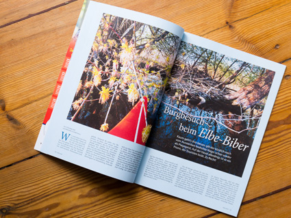 BELEG-04-Biber-der-landfotograf