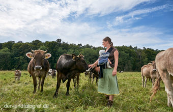 Bäuerin Anja bei ihren Kühen auf der Weide im Zuchtbulle vom Biobauernhof Hof Stolze Kuh steht auf der Weide im Nationalpark Unteres Odertal