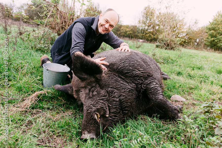 Der Landfotograf streichelt einen Keiler