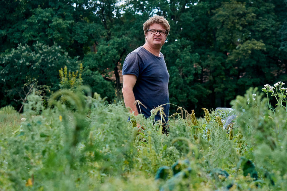 Biobauer Christian Heymann auf dem Feld